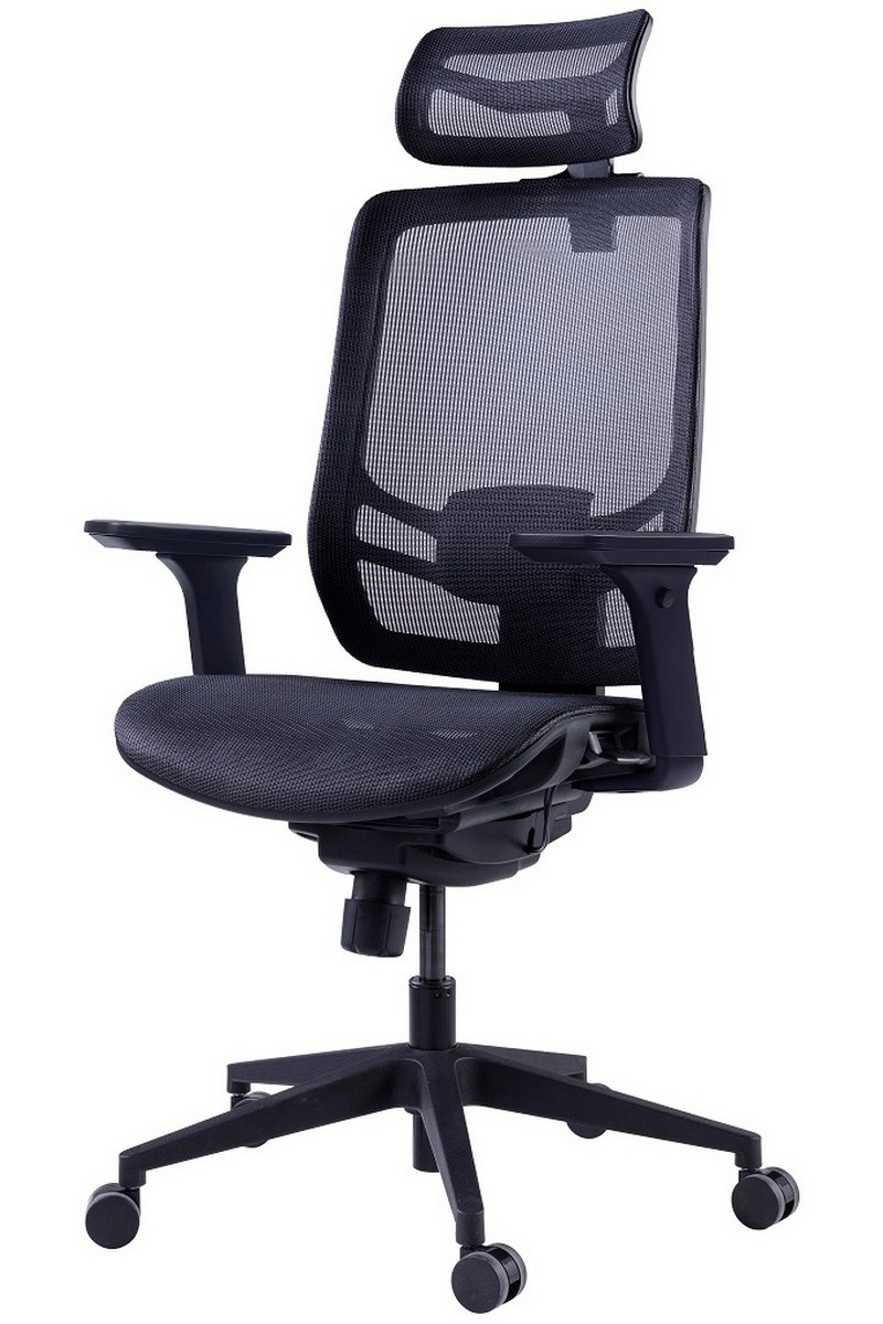 Эргономичное компьютерное кресло GT Chair