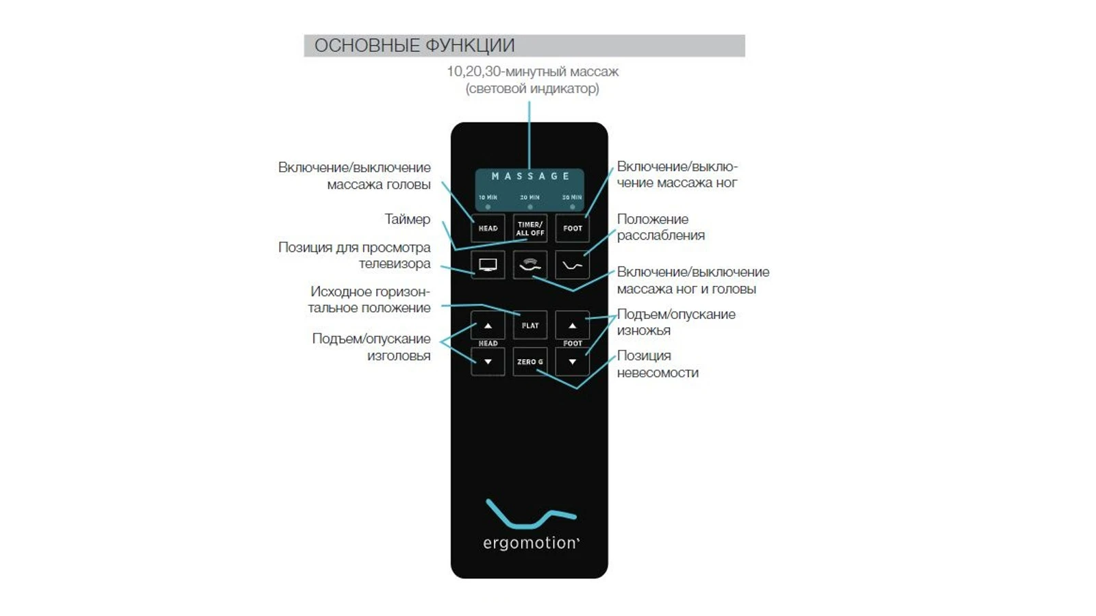 Основание Askona